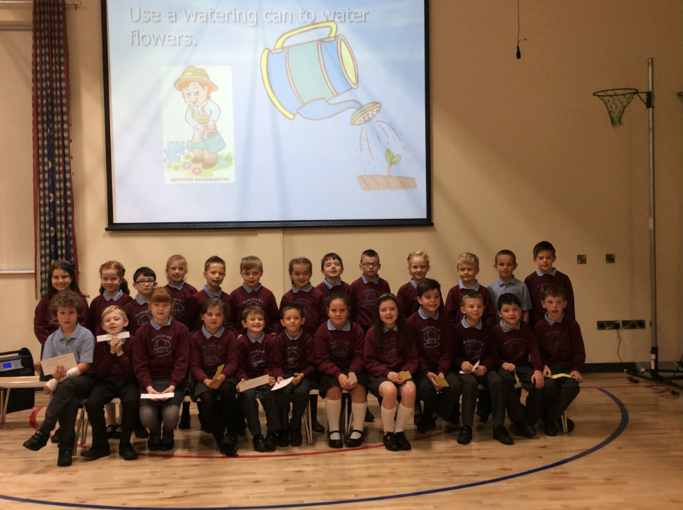 P4 Water Assembly