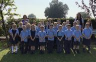 Primary 4