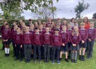 Primary 7